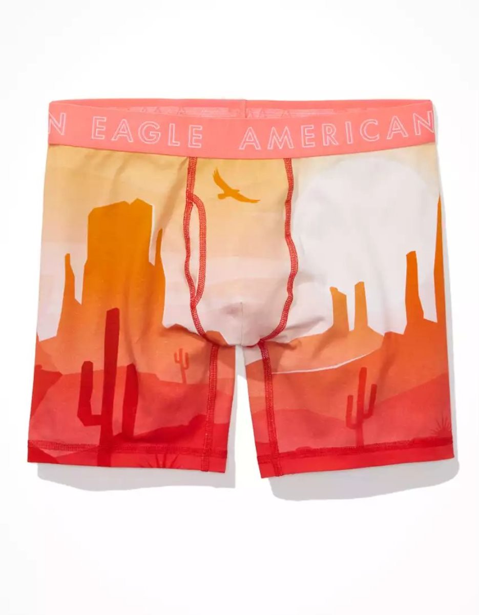 Slips American Eagle AEO Valley Desert 6